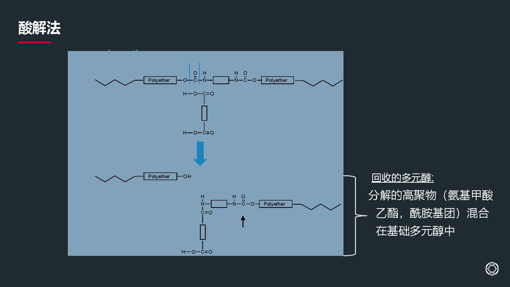 13_1Presentation_REC_12.2023 _页面_08.jpg